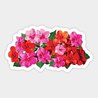 Pink and Red Impatiens Sticker